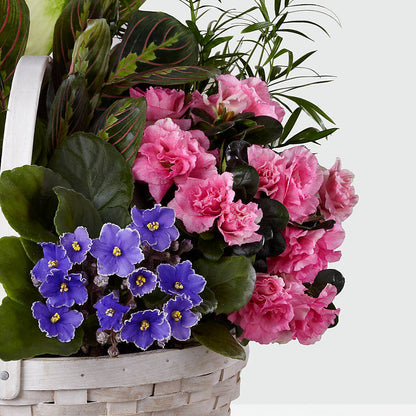 Peaceful Garden Planter –  Flowerland, Athol MA
