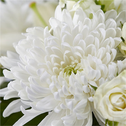 Classic Ivory – A Florist Original –  Flowerland, Athol MA