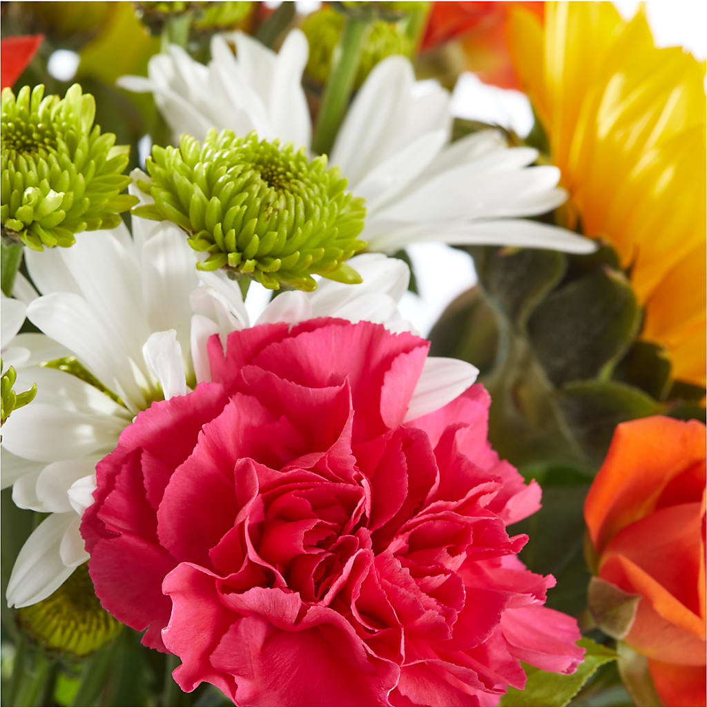 Sun-drenched Blooms Bouquet –  Flowerland, Athol MA