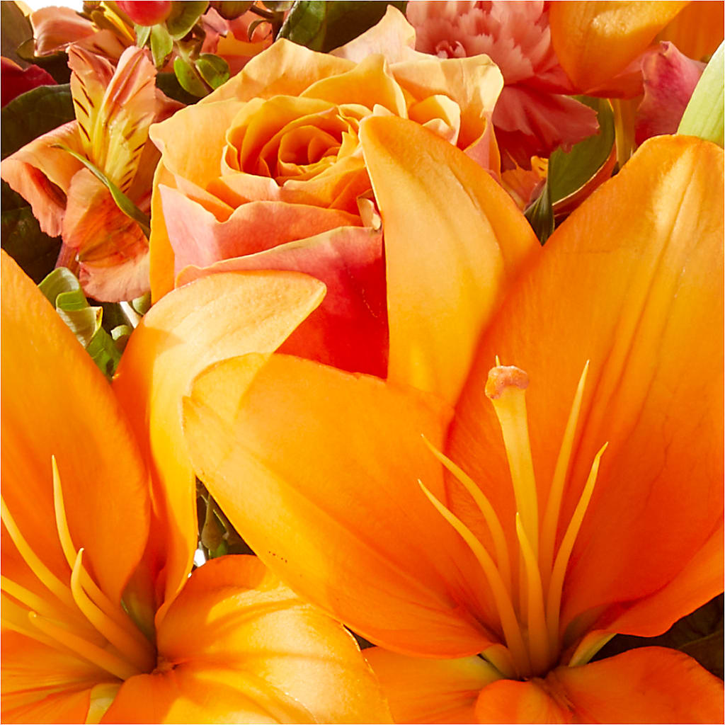 Afternoon Light Bouquet –  Flowerland, Athol MA