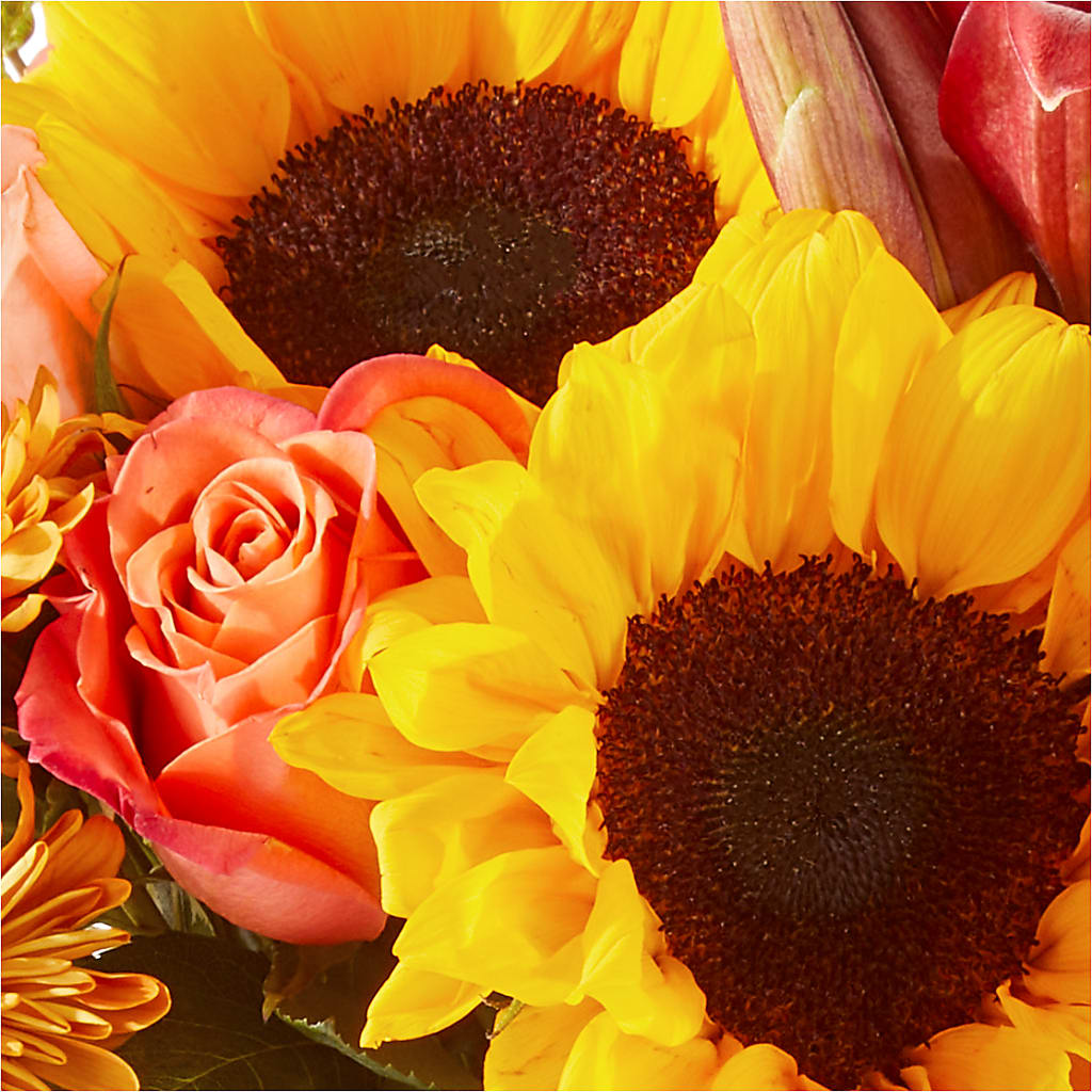 Acorn Lane Bouquet –  Flowerland, Athol MA
