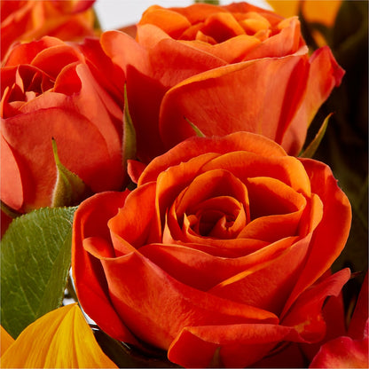 Picnic in the Park Bouquet –  Flowerland, Athol MA