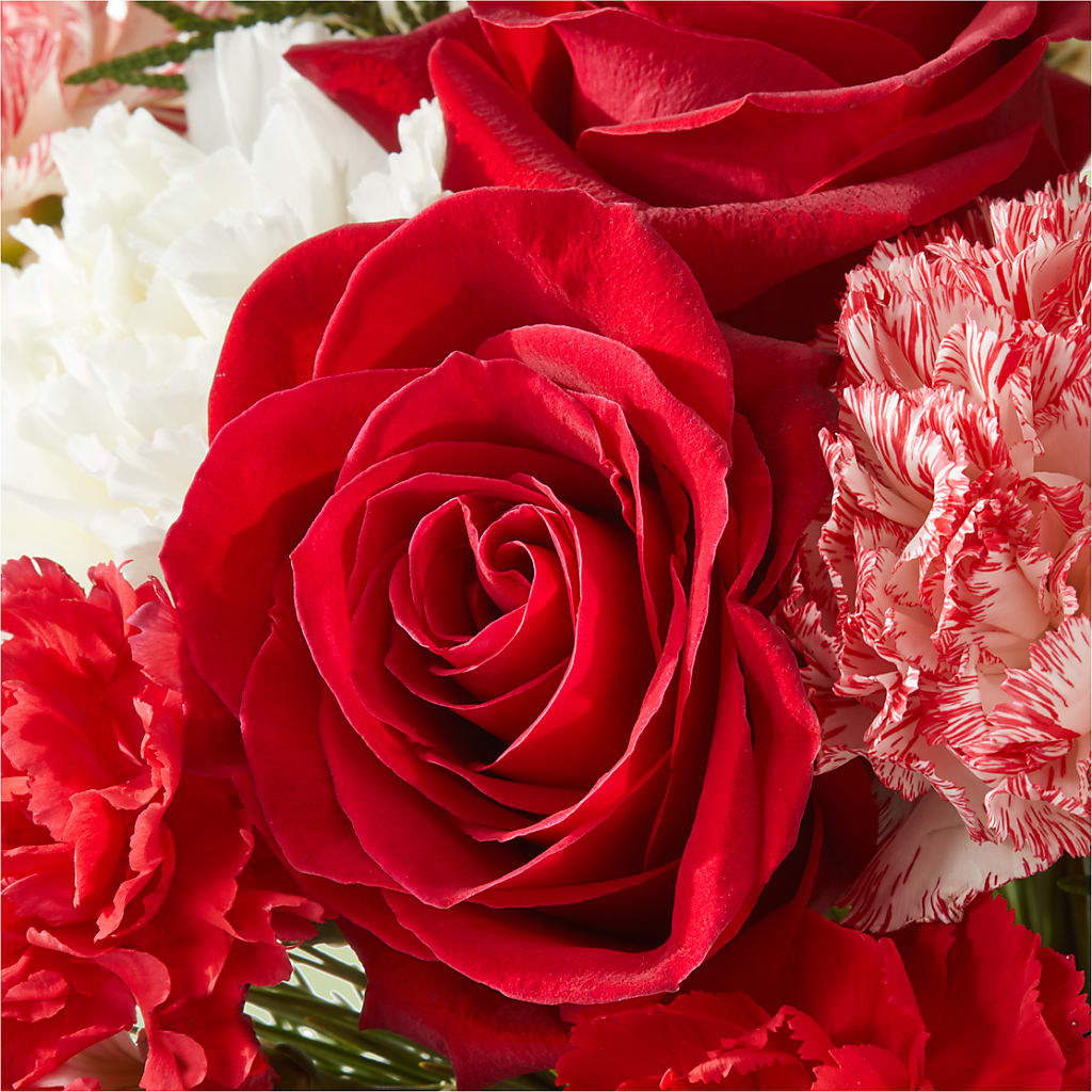 Candy Cane Lane Bouquet –  Flowerland, Athol MA