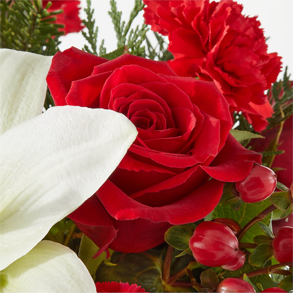 Oh So Jolly Bouquet –  Flowerland, Athol MA