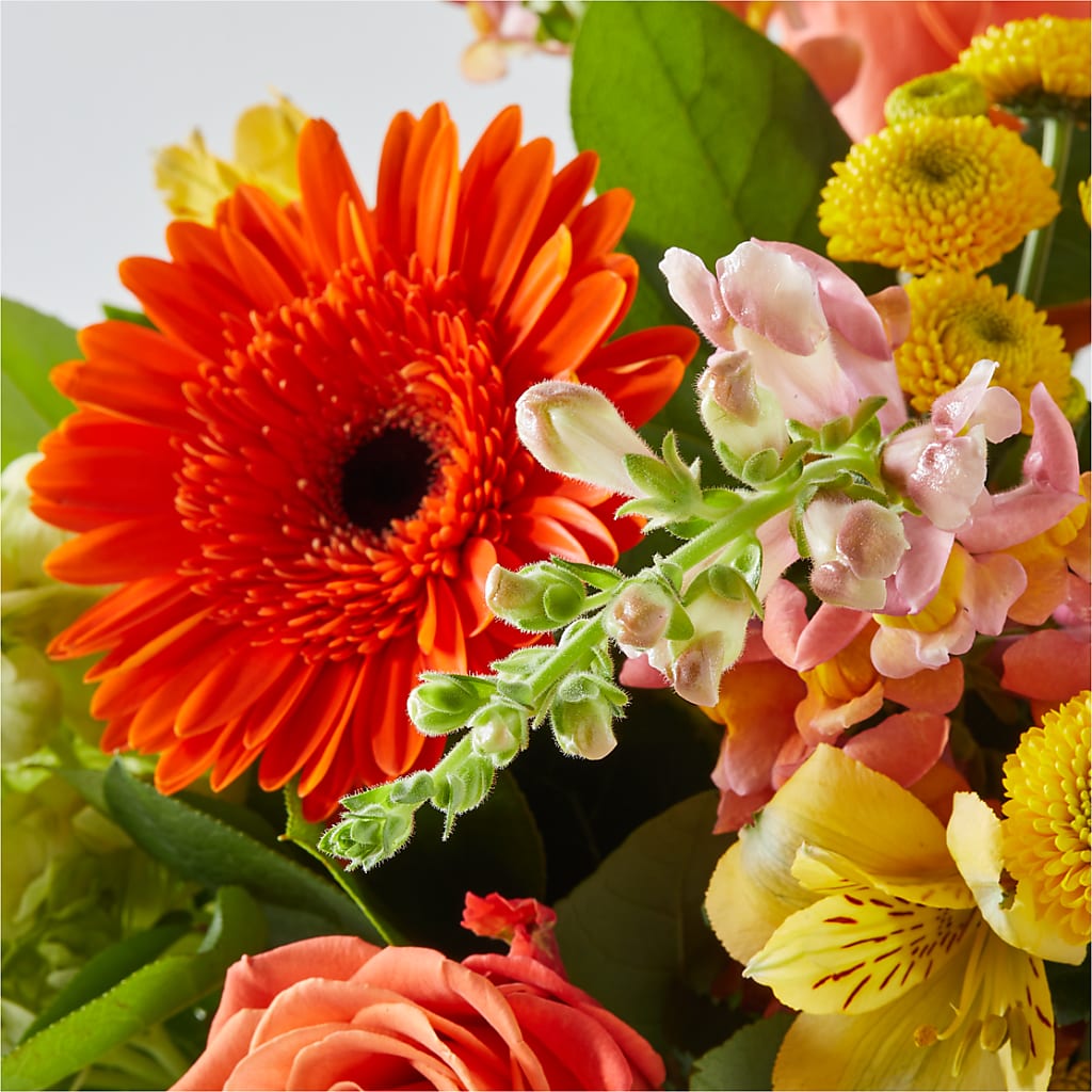 Autumn Sunshine Bouquet –  Flowerland, Athol MA