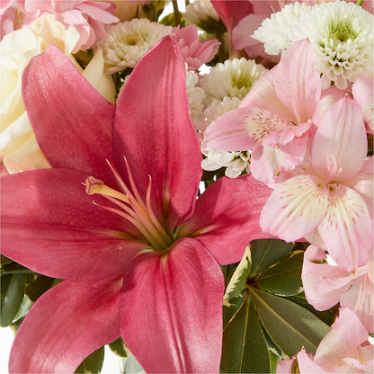 Piece of Cake Bouquet –  Flowerland, Athol MA