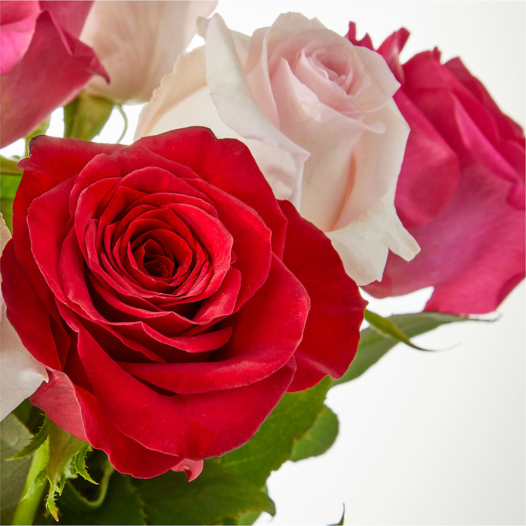 Charming Rose Bouquet –  Flowerland, Athol MA