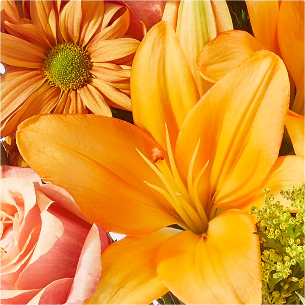Harvest Hayride Bouquet –  Flowerland, Athol MA