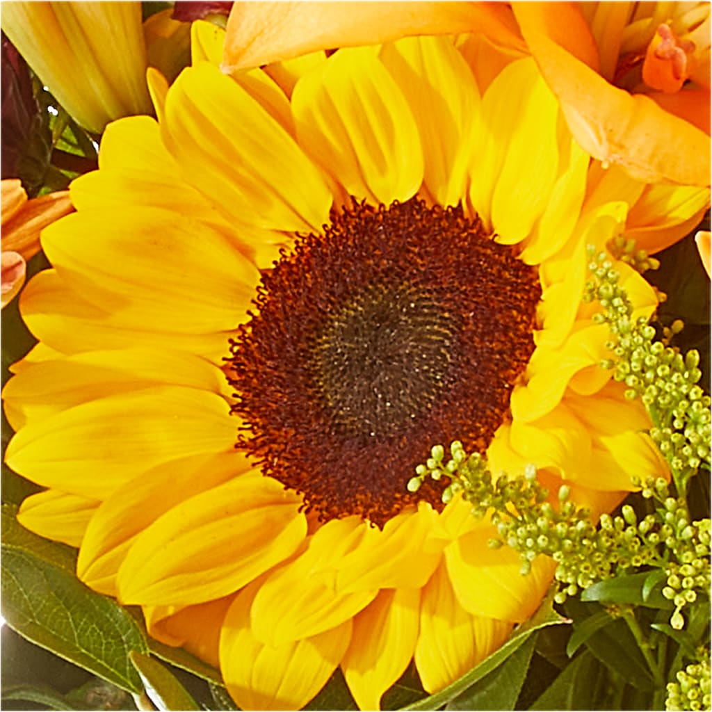 Seasons Change Bouquet –  Flowerland, Athol MA