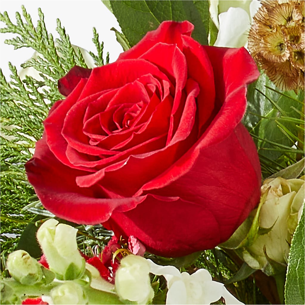 Deck the Halls Bouquet –  Flowerland, Athol MA
