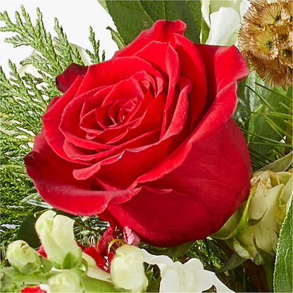 Deck the Halls Bouquet –  Flowerland, Athol MA
