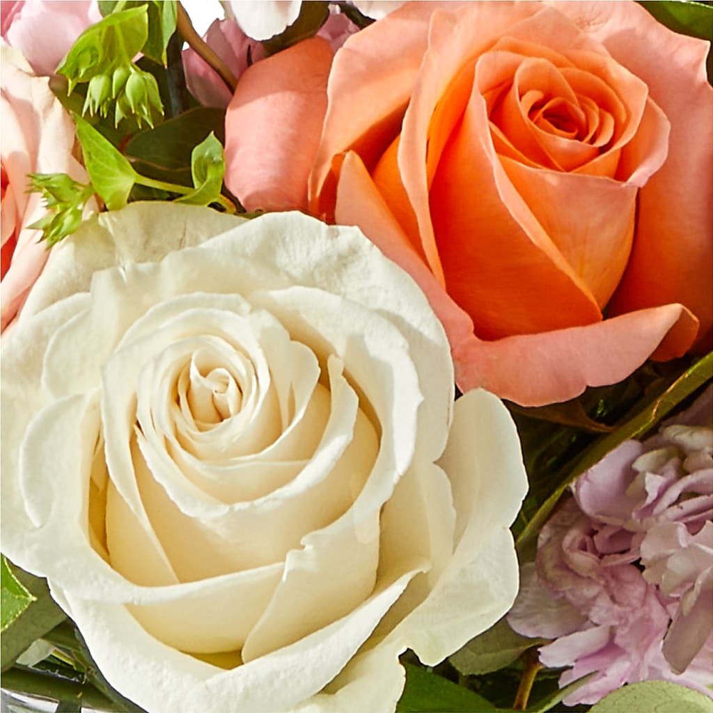 French Market Bouquet –  Flowerland, Athol MA