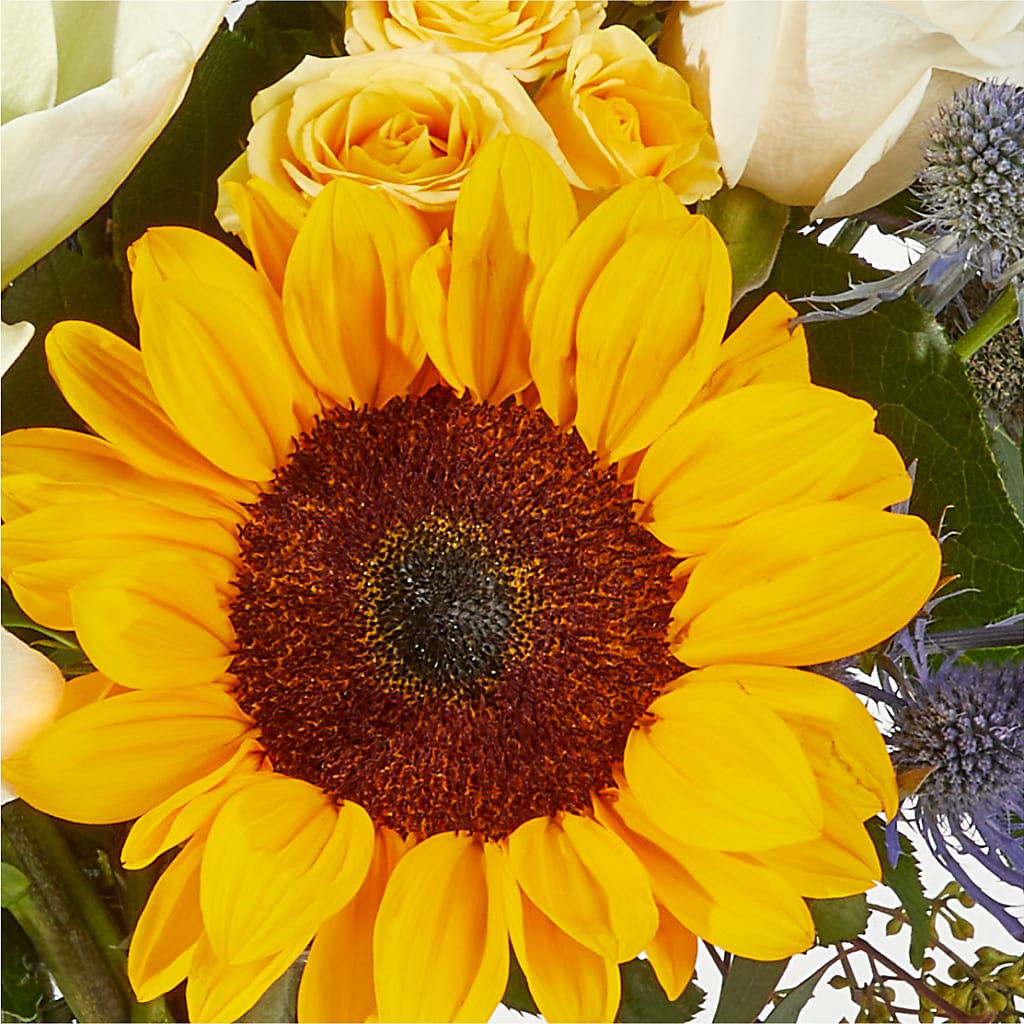 Wonderfully Sunny Bouquet –  Flowerland, Athol MA