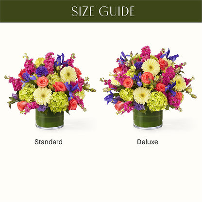 The Couture –  Flowerland, Athol MA