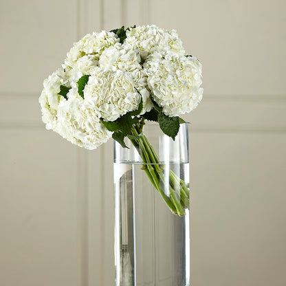White Hydrangea Hand-Tied Bouquet –  Flowerland, Athol MA