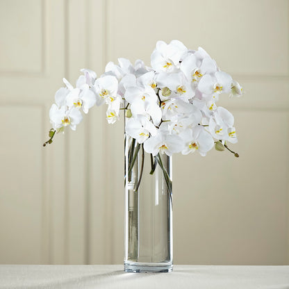 White Phalaenopsis Bouquet –  Flowerland, Athol MA