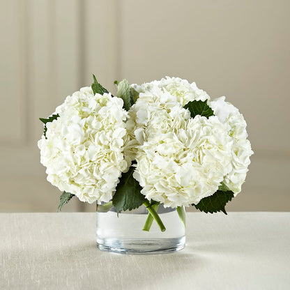 White Hydrangea Bouquet –  Flowerland, Athol MA
