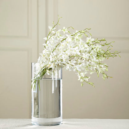 White Dendrobium Bouquet –  Flowerland, Athol MA