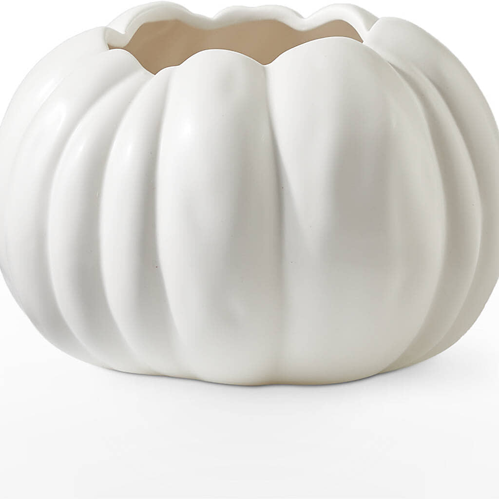 Pumpkin to Talk About Bouquet –  Flowerland, Athol MA